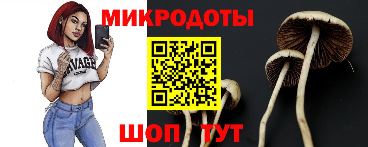 Галлюциногенные грибы прущие грибы  Вход с VPN  Псилоцибиновые грибы GOLDEN TEACHER  Заволжье 